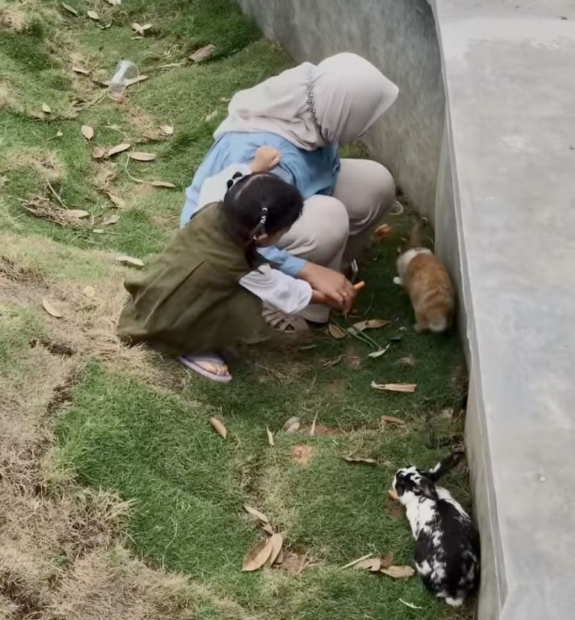 Farmday, Wisata Edukasi Unik Bisa Interaksi Langsung ke Hewan