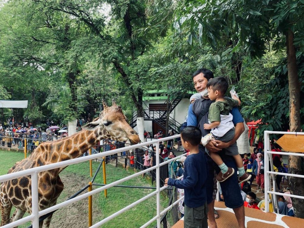 Sempat Kontra, DPRD Surabaya Restui KBS Night Zoo