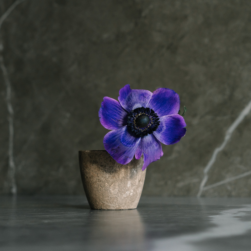 [QUIZ] Pilih Pot Bunga Ini, Kami akan Menebak Inisial Cinta Sejatimu!