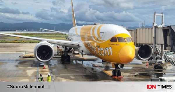Profil Scoot, Maskapai Penerbangan Bertarif Rendah Singpura