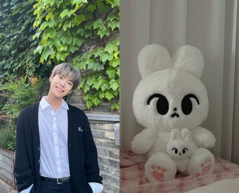 9 Boneka Hewan Versi Member NCT 127, Paling Viral Tyongya