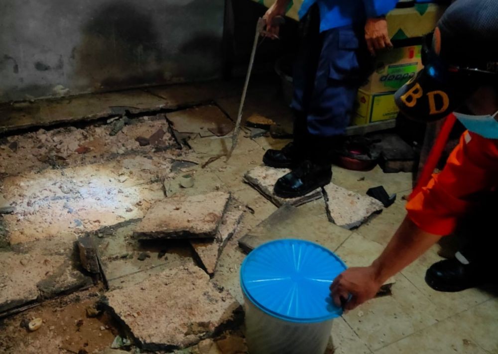 24 Butir Telur dan 18 Ekor Ular Kobra Ditemukan di Rumah Warga Tuban