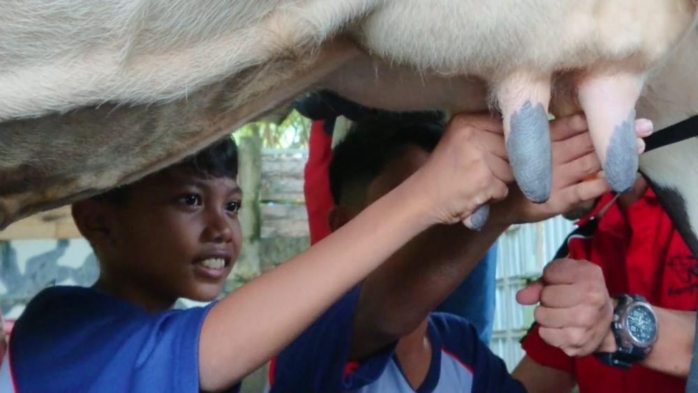 Ada Wisata Kampung Susu di Tulungagung, Wisata Sambil Belajar