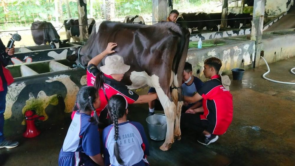 Ada Wisata Kampung Susu di Tulungagung, Wisata Sambil Belajar