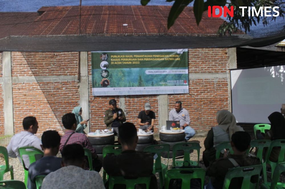 Kasus Satwa Lindung di Aceh Terus Meningkat, 4 Tak Tuntas Pada 2022