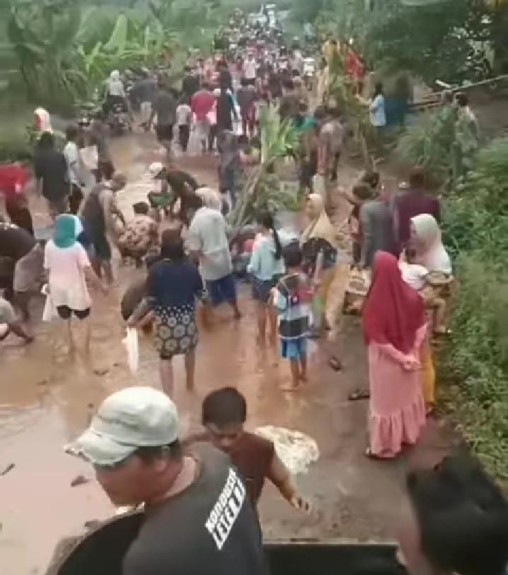 Warga Lampung Timur Protes Jalan Rusak, Tabur Lele di Lubang Jalan 