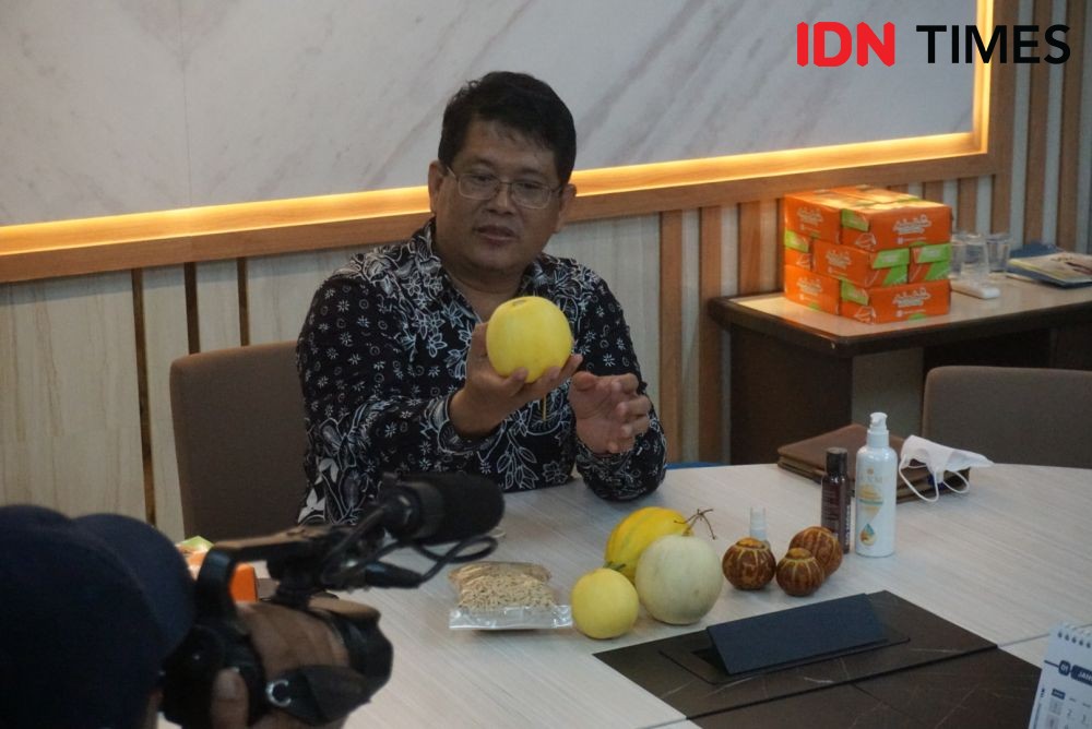 Dekan Fakultas Biologi UGM Hasilkan Hikapel, Melon Seukuran Apel
