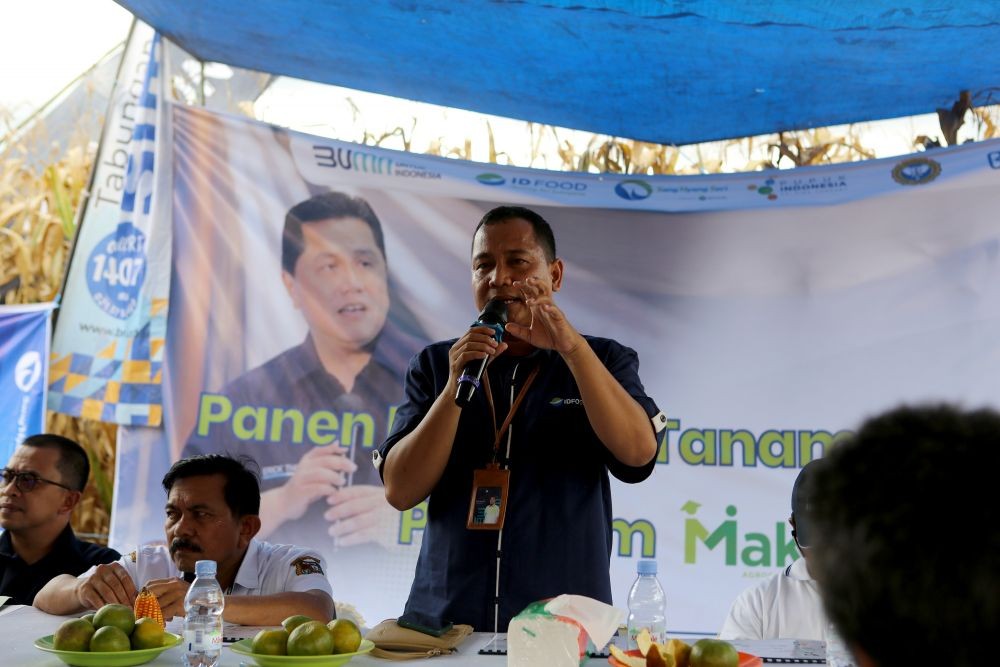 Program Andalan Erick Thohir Dongkrak Hasil Panen Jagung Petani Karo