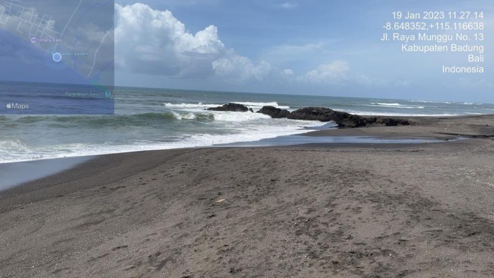 Bangkai Anak Paus Bryde Terdampar di Pantai Munggu Bali
