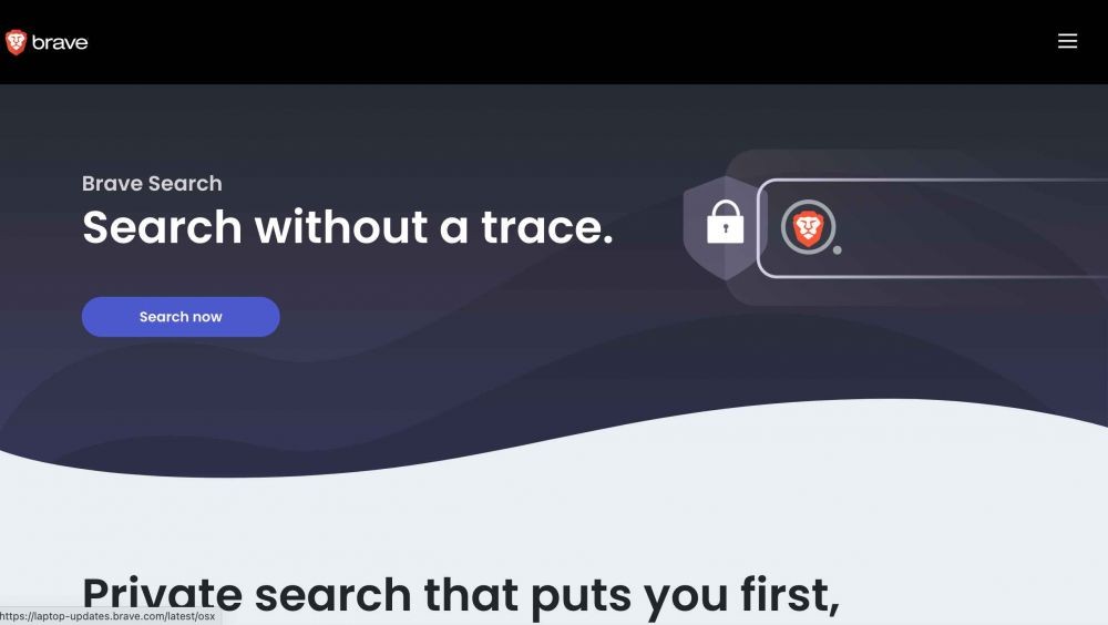 Brave Search (brave.com)