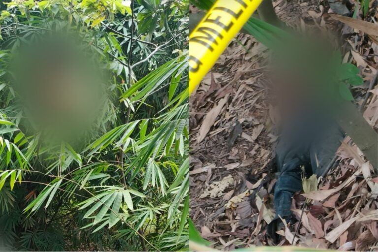 Heboh Tengkorak Pria Ditemukan Tergantung di Pohon Bambu