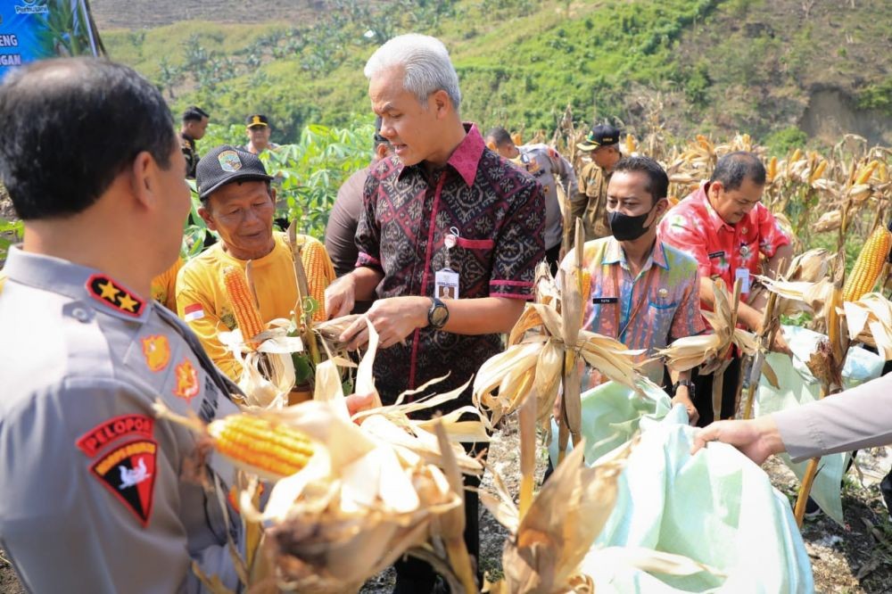 Ganjar Warning Perhutani: Pohon yang Sudah Ditebang, Akarnya Jangan Dicabut