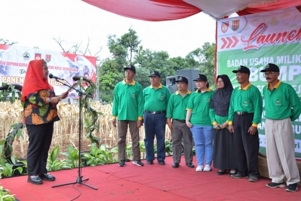Badan Usaha Milik Petani di Semarang Diluncurkan, Biar Harga Sembako Lebih Murah
