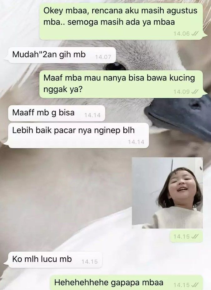 12 Chat Kocak Saat Cari Kos Ending Nya Bikin Tepok Jidat