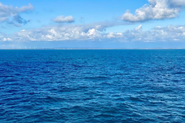 Peneliti Temukan 'Kota Hilang' di Bawah Laut, Penuh Kehidupan Baru