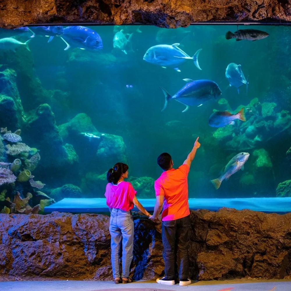 Aquarium Date Dimana.html