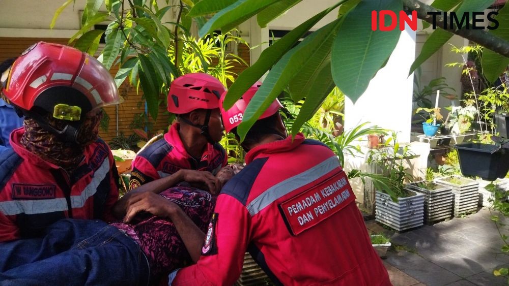 Aksi Petugas Damkar Makassar Evakuasi Pria Tersengat Listrik di Pohon