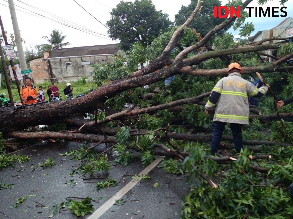 Hujan Disertai Angin Kencang Di Bekasi Tujuh Pohon Tumbang 0952