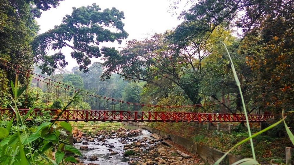 10 Tempat Wisata Di Bogor Selain Puncak, Biar Gak Macet