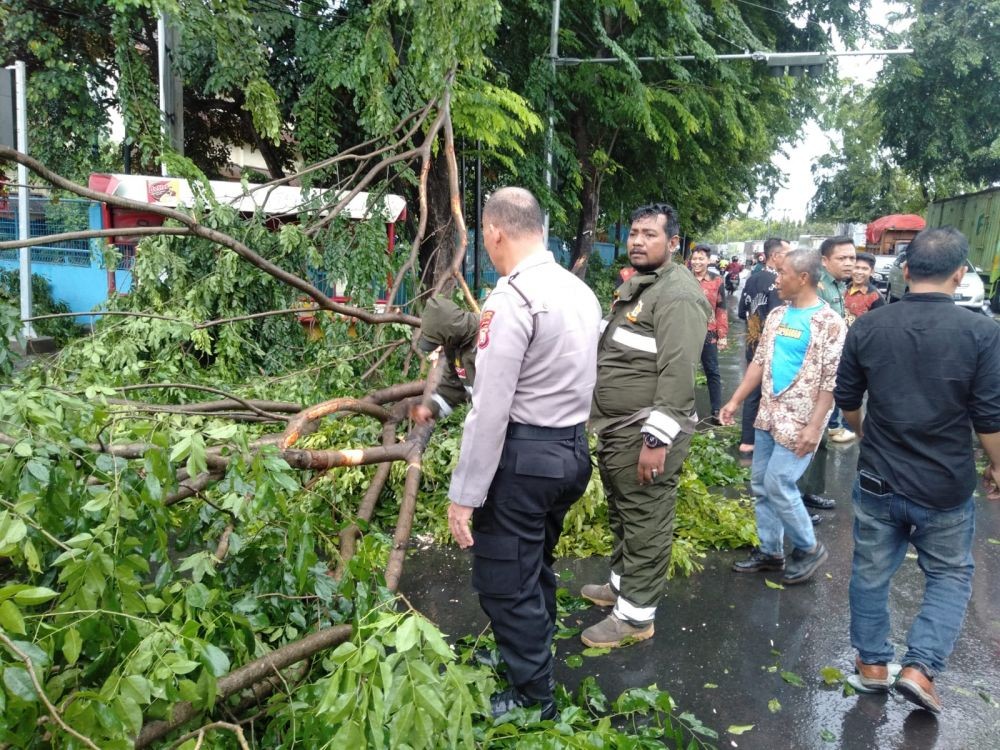 Hujan Disertai Angin Kencang Di Bekasi Tujuh Pohon Tumbang 5760