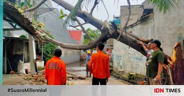 Hujan Disertai Angin Kencang Di Bekasi, Tujuh Pohon Tumbang