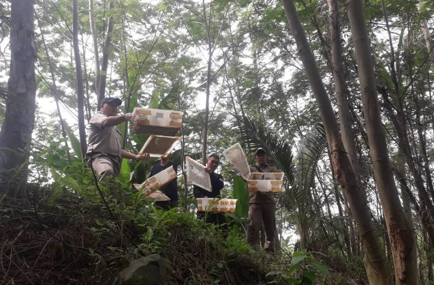 Dijanjikan Ongkir Rp4 Juta, Sopir di Lampung Nekat Kirim Burung Ilegal