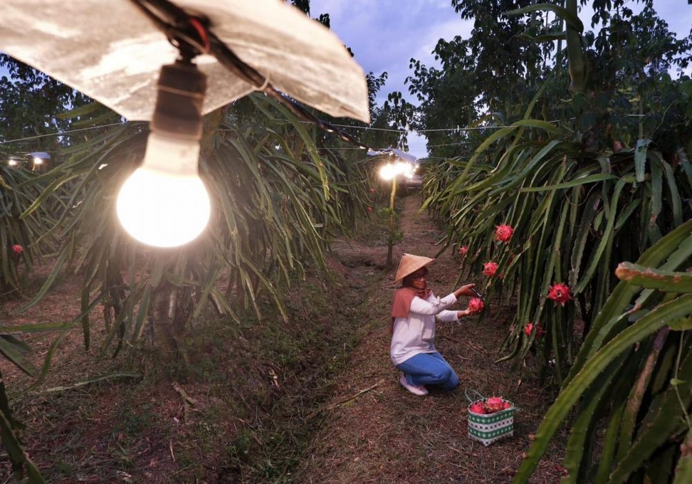 PLN Sukses dalam Menekan Take or Pay hingga Rp47,05 Triliun