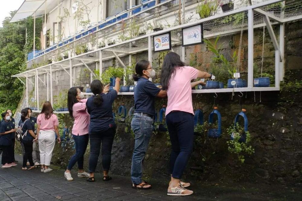 Mengintip Urban Farming KWT Kota Pala di Tengah Kota Tabanan
