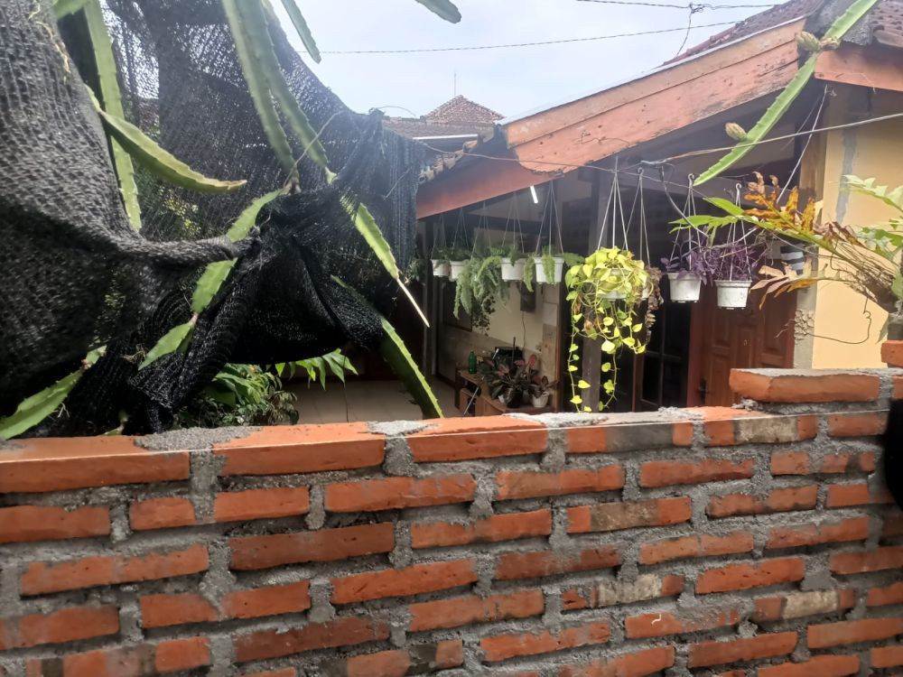 Jalan Ditembok Tetangga, Warga Lombok 'Terpenjara' di Rumah Sendiri 
