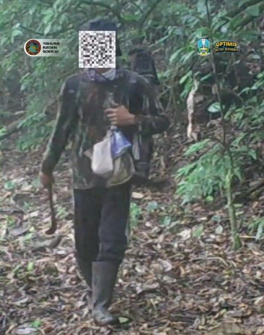 Terekam di Hutan Konservasi, Pemburu Liar Malah Curi Kamera Trap