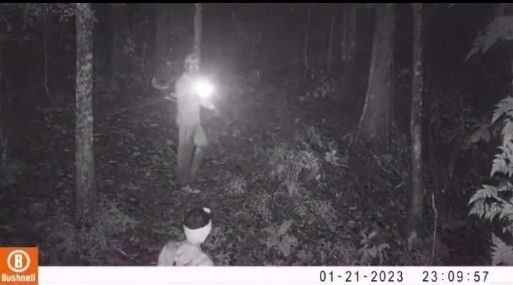 Pemburu yang Terekam Kamera Trap Bisa Dipenjara 9 Tahun