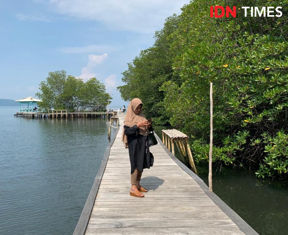 Rekomendasi Wisata Hutan Hidden Gem di Lampung, Adem Banget!