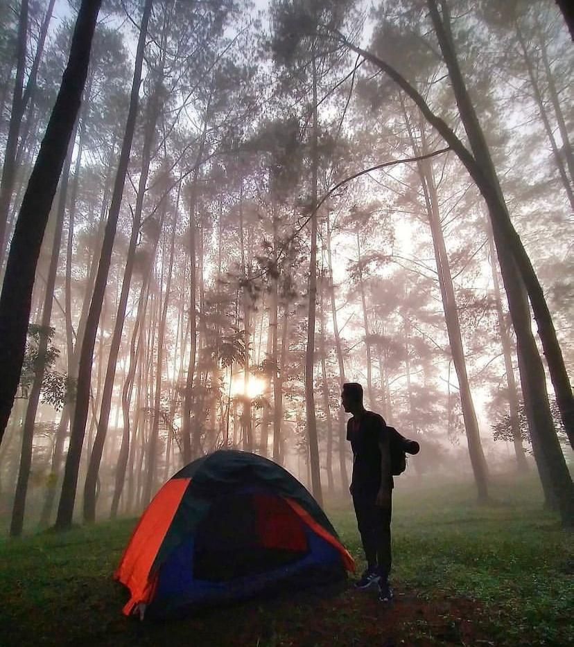 Rekomendasi Wisata Hutan Hidden Gem di Lampung, Adem Banget!