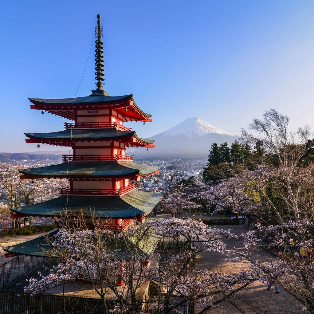 Tempat Terbaik Melihat Bunga Sakura Di Jepang