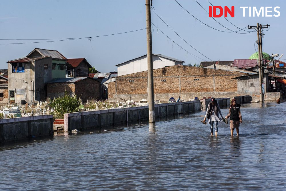 117.185 Pantarlih Bertugas di Jateng, Sering Terjang Banjir dan Ketemu Jegokan Anjing