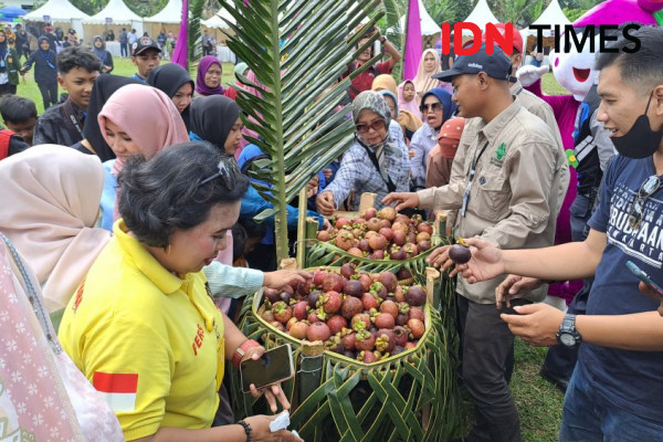 2 Ton Manggis Gratis Dibagikan di Festival Manggis Purwakarta 2023