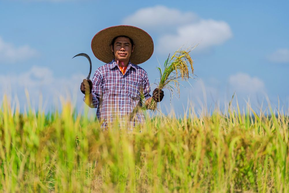 Surplus, Harga Beras di Jabar Belum Turun Signifikan