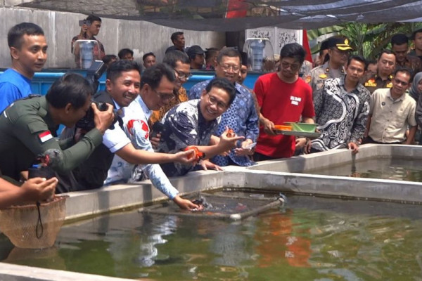 Desa di Tulungagung Ini Kirim Ikan Hias Mas Koki ke 3 Negara