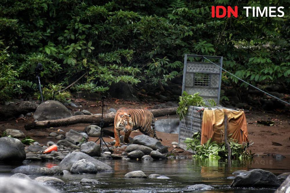 Deforestasi Terus Terjadi, Kenapa Sih Kita Harus Menjaga Hutan? 