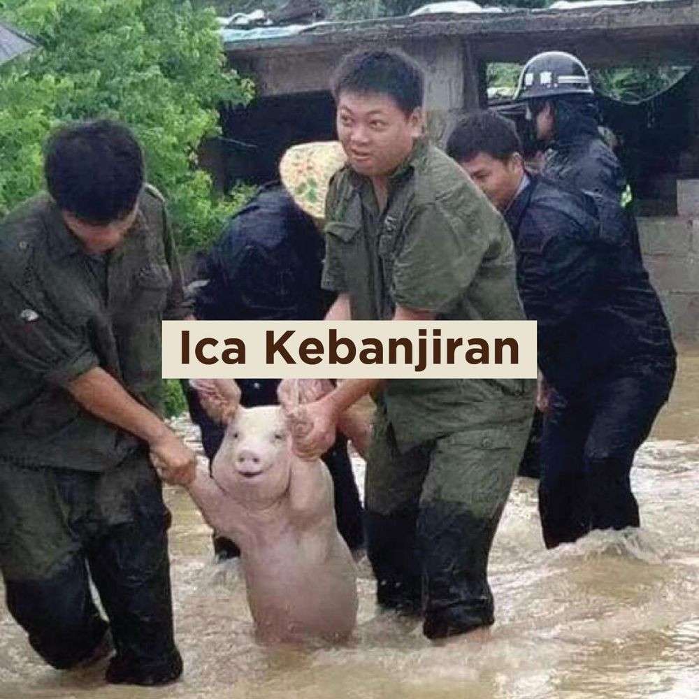 Jadi Meme Kenapa Babi Dipanggil Ica Sama Netizen Indonesia