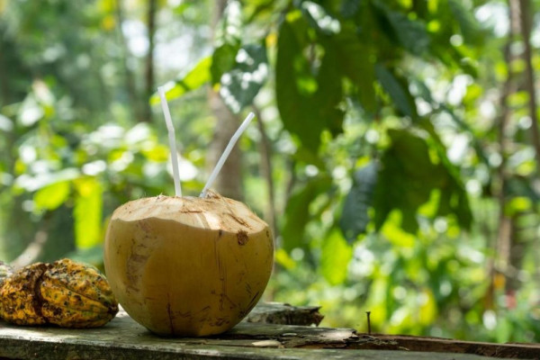 Manfaat Minum Air Hidangan Ideal Untuk Buka Puasa Di Bulan Ramadan