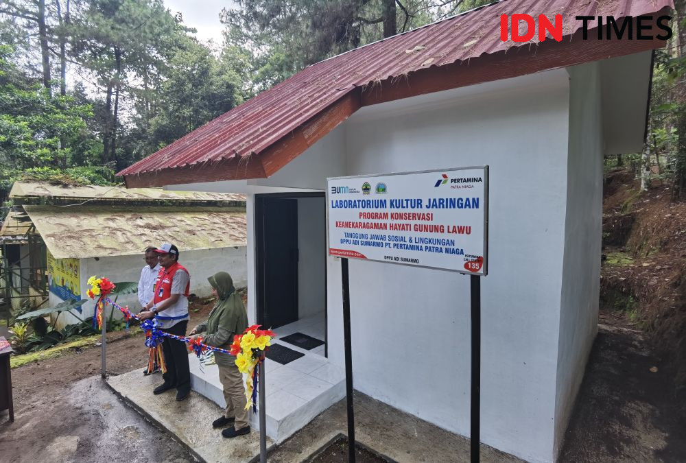 Laboratorium Kultur Karanganyar, Jalan untuk Konservasi Anggrek Lawu