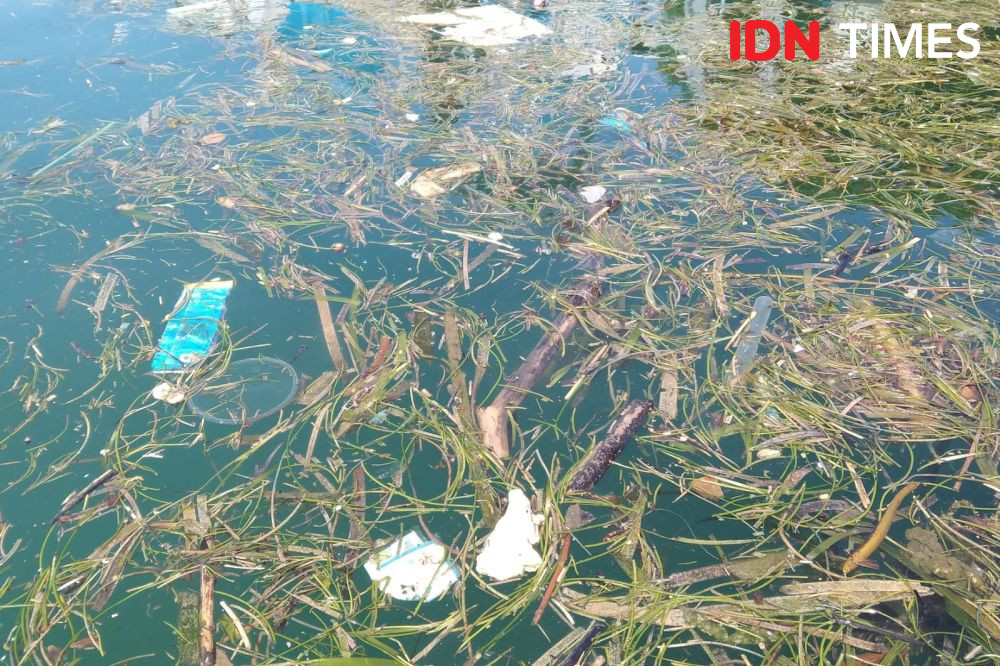 Mobula 8 Bersih-bersih Sampah Laut di Pelabuhan Yatch Bali