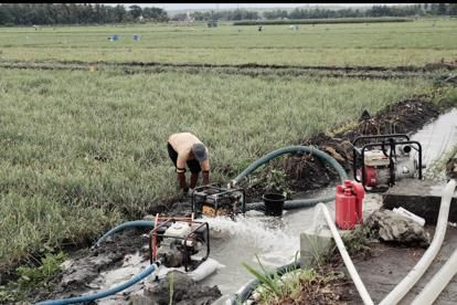 Dorong Produktivitas Petani, Kementan Beri Bantuan Irigasi