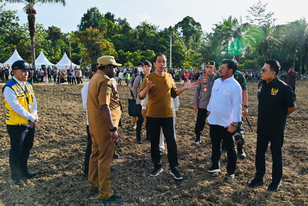 Jokowi Tinjau Food Estate Di Keerom Papua