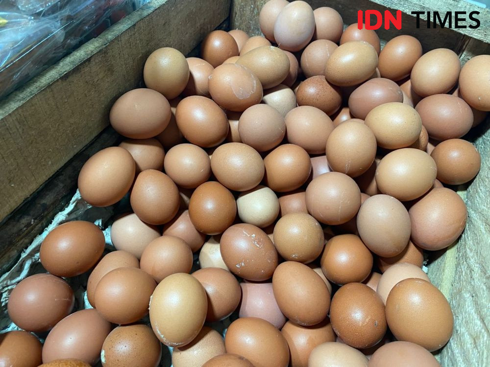Harga Telur Ayam Meroket, Inflasi Mei 2023 di Jateng Capai 0,22 Persen