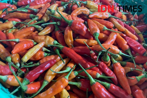 Hari Pertama Puasa, Harga Cabai Rawit Merah Tembus Rp100 Ribu per Kilo
