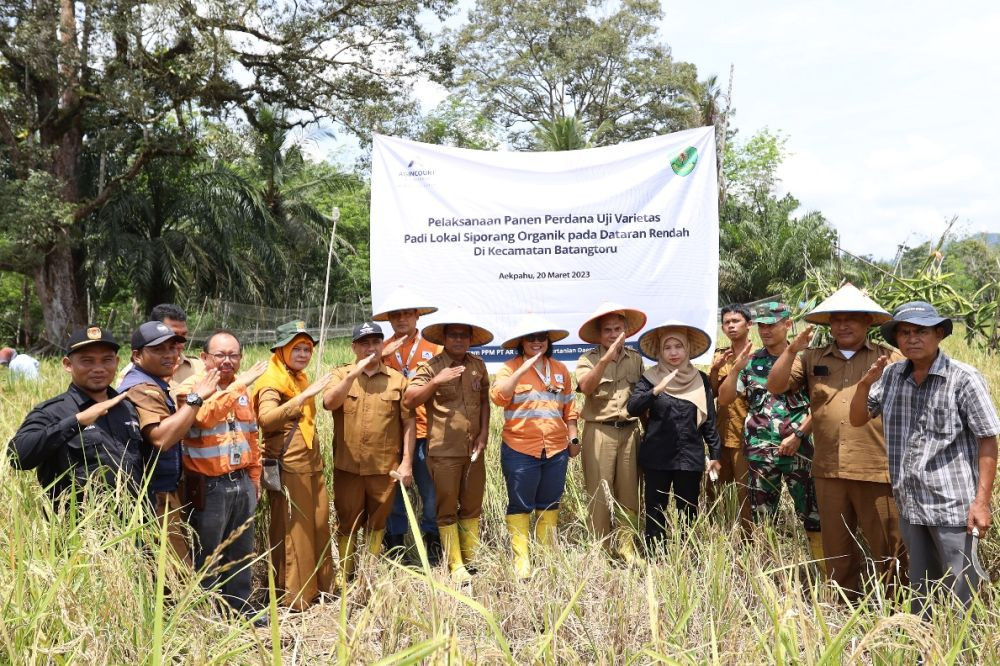 Petani Panen Perdana, PTAR Sukses Kembangkan Benih Lokal Siporang