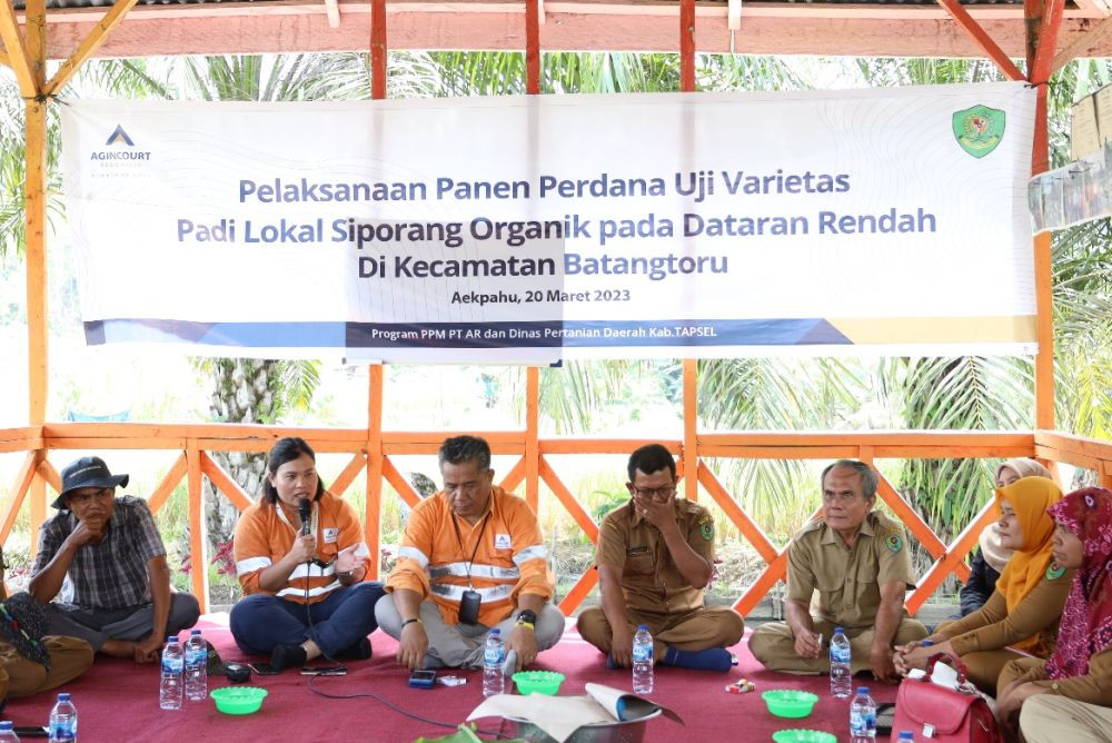Petani Panen Perdana, PTAR Sukses Kembangkan Benih Lokal Siporang
