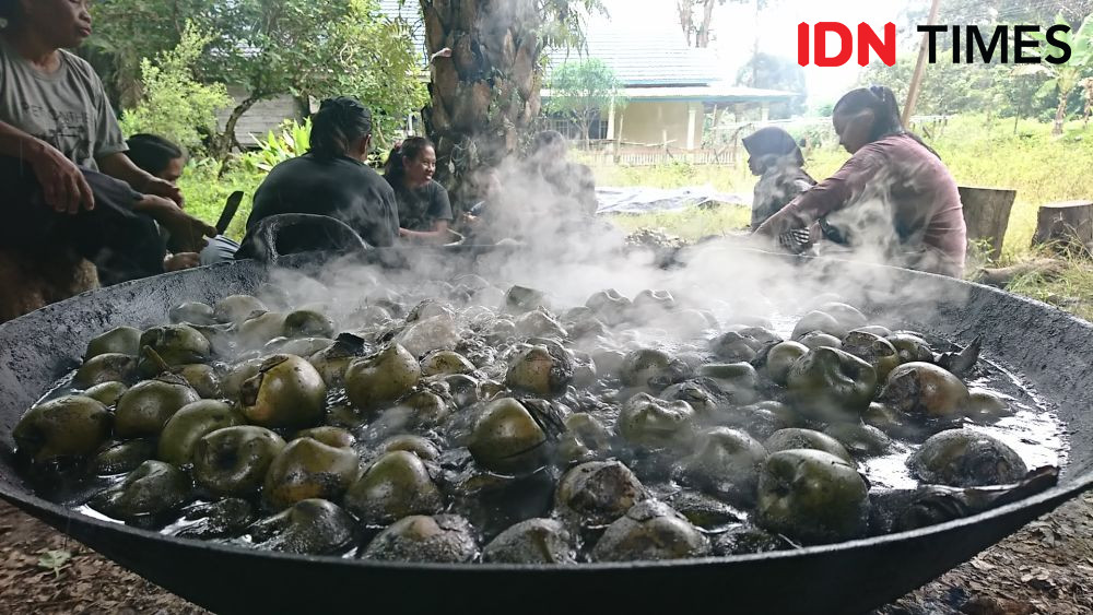 Tradisi Panen Beluluk Saat Ramadan di Desa Jambi Tulo